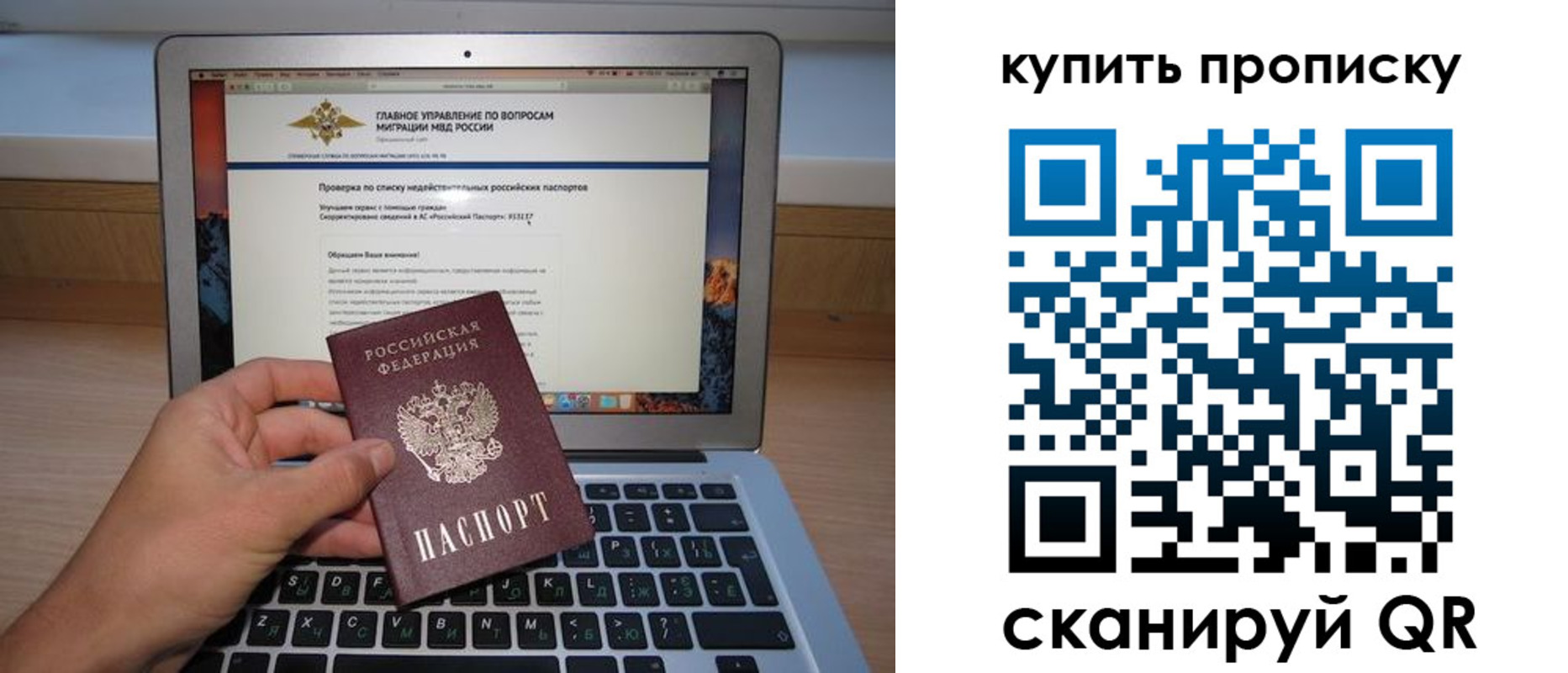 прописка для школы в Благовещенске