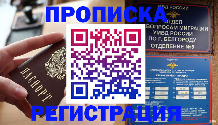 временная регистрация недорого в Благовещенске